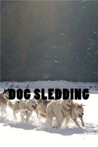 Dog Sledding