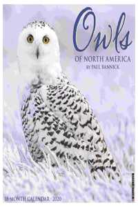 Owls 2020 Wall Calendar