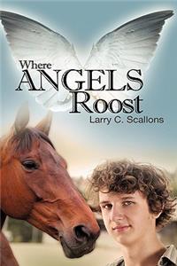 Where Angels Roost