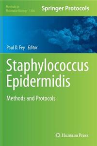Staphylococcus Epidermidis