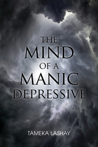 Mind of a Manic Depressive