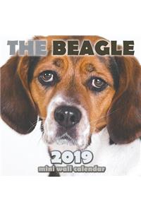 The Beagle 2019 Mini Wall Calendar