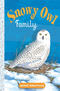 Snowy Owl Family