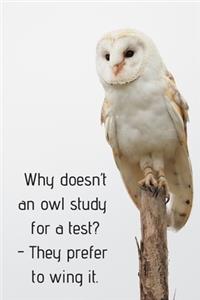 Why doesn't an owl study for a test? - They prefer to wing it.