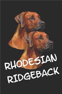 Rhodesian Ridgeback
