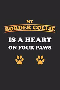 My Border Collie is a heart on four paws
