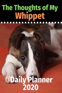 The Thoughts of My Whippet