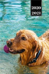 Golden Retriever Dog Calendar Week Planner 2020 / 2021 - Playing in the Water