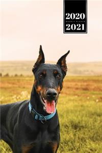 Doberman Dog Calendar Week Planner 2020 / 2021 - Wide Meadow