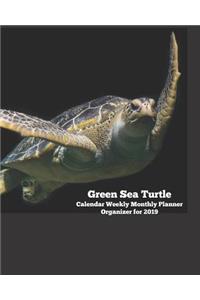 Green Sea Turtle Calendar Weekly Monthly Planner Organizer for 2019