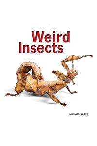 Weird Insects