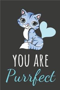 You Are Purrfect