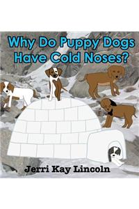 Why Do Puppy Dogs Have Cold Noses?