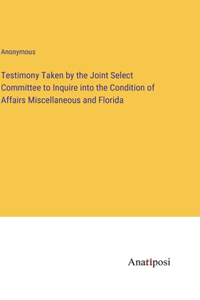 Testimony Taken by the Joint Select Committee to Inquire into the Condition of Affairs Miscellaneous and Florida