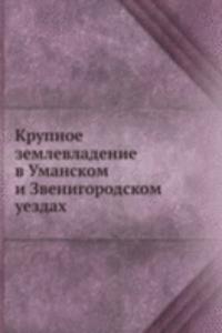 Krupnoe zemlevladenie v Umanskom i Zvenigorodskom uezdah