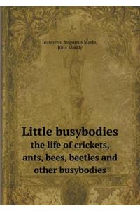 Little Busybodies the Life of Crickets, Ants, Bees, Beetles and Other Busybodies