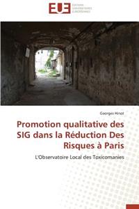 Promotion Qualitative Des Sig Dans La Réduction Des Risques À Paris