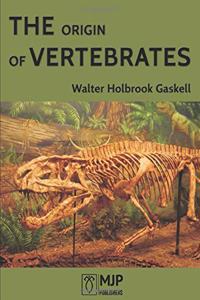 Orgin of Vertebrates