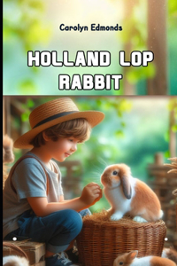 Holland Lop Rabbit