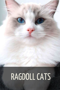 Ragdoll Cats