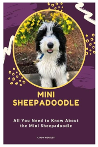 Mini Sheepadoodle