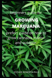 Beginners Guide for Growing Marijuana