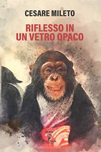 Riflesso in Un Vetro Opaco