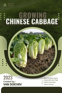 Chinese Cabbage