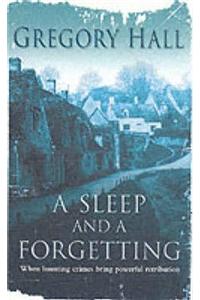 Sleep and a Forgetting