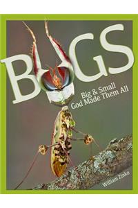Bugs Big & Small