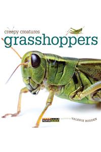 Grasshoppers