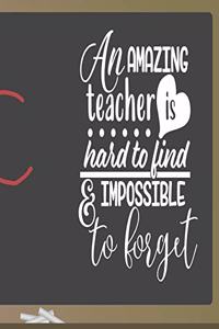 An Amazing Teacher is Hard to Find and Impossible to Forget