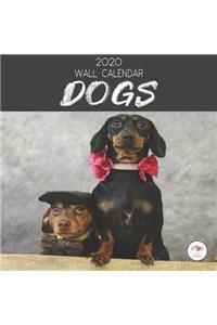 2020 Wall Calendar Dogs