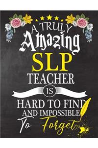 A Truly Amazing SLP Teacher Is Hard To Find And impossible To Forget