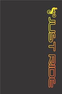 Journal for Downhill Mountain Bike mtb just ride gold