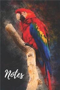 Parrot Notebook