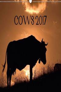 Cows 2017 / UK-Version 2017