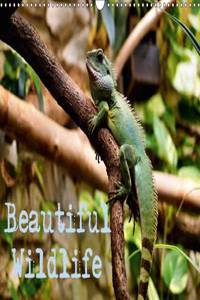 Beautiful Wildlife / UK-Version 2017