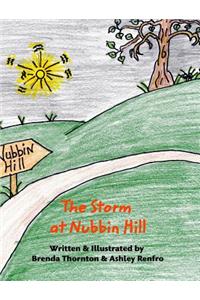 Storm at Nubbin Hill