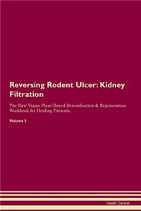 Reversing Rodent Ulcer: Kidney Filtration The Raw Vegan Plant-Based Detoxification & Regeneration Workbook for Healing Patients. Volume 5