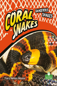 Coral Snakes