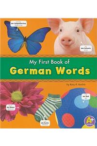 Bilingual Picture Dictionaries My First Book of German Words
