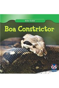 Boa Constrictor