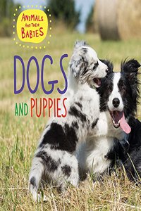 Dogs & Puppies