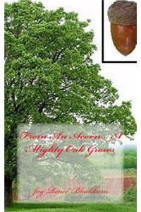 From An Acorn... A Mighty Oak Grows