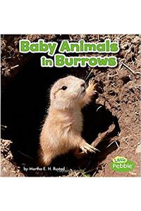Baby Animals in Burrows