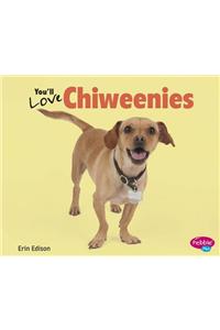 You'll Love Chiweenies