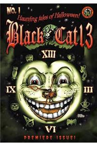 Black Cat 13