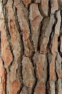 A Tree Bark Journal