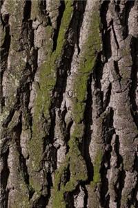 Bark on an Old Oak Tree with Green Moss Journal